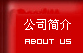 公司簡介